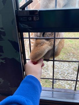 那須サファリパークに投稿された画像（2021/9/27）