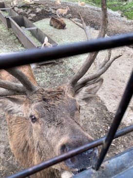 那須サファリパークに投稿された画像（2021/9/27）