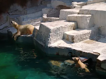 天王寺動物園に投稿された画像（2021/9/27）