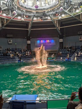 マクセル アクアパーク品川に投稿された画像（2021/9/27）