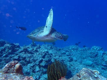 マリンショップtaitaiに投稿された画像（2021/9/28）