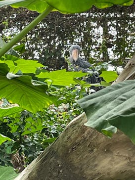 神戸どうぶつ王国に投稿された画像（2021/9/28）