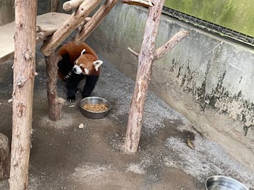 熱川バナナワニ園に投稿された画像（2021/9/28）