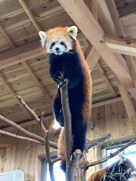 伊豆シャボテン動物公園に投稿された画像（2021/9/28）