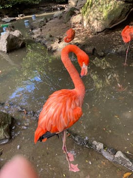 伊豆シャボテン動物公園に投稿された画像（2021/9/28）