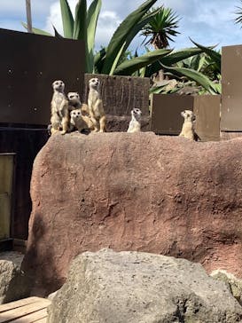 伊豆シャボテン動物公園に投稿された画像（2021/9/28）