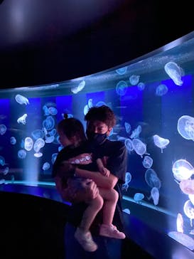 京都水族館に投稿された画像（2021/9/28）