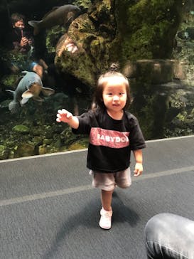 京都水族館に投稿された画像（2021/9/28）