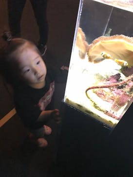 京都水族館に投稿された画像（2021/9/28）