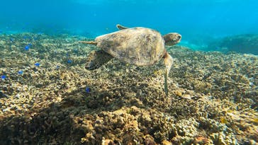 ちゃこたびに投稿された画像（2021/9/28）