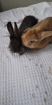 NEWS那覇店に投稿された画像（2021/9/28）