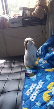 NEWS那覇店に投稿された画像（2021/9/28）