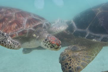 新江ノ島水族館に投稿された画像（2021/9/28）