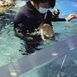 すみだ水族館に投稿された画像（2021/9/29）