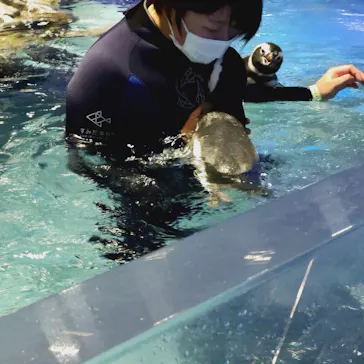 すみだ水族館に投稿された画像（2021/9/28）