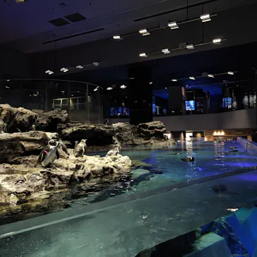 すみだ水族館に投稿された画像（2021/9/28）