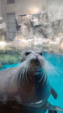 大分マリーンパレス水族館 「うみたまご」に投稿された画像（2021/9/28）