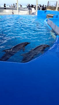 大分マリーンパレス水族館 「うみたまご」に投稿された画像（2021/9/28）