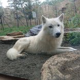 那須どうぶつ王国に投稿された画像（2021/9/29）