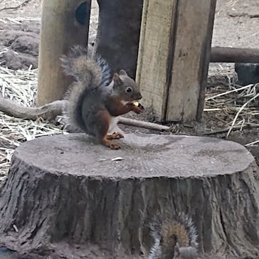 那須どうぶつ王国に投稿された画像（2021/9/28）