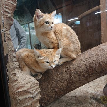 那須どうぶつ王国に投稿された画像（2021/9/28）