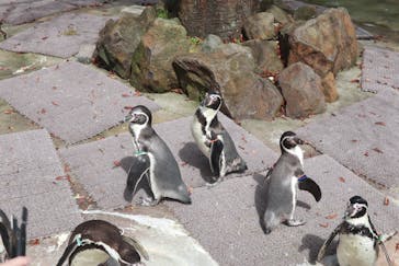 那須どうぶつ王国に投稿された画像（2021/9/29）