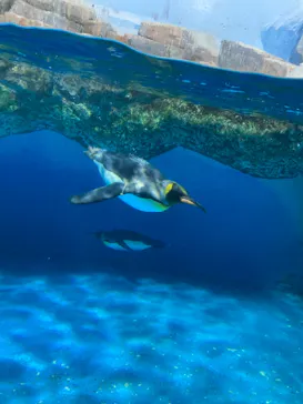 横浜・八景島シーパラダイスに投稿された画像（2021/9/29）