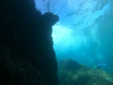 武藤潜水に投稿された画像（2021/9/29）