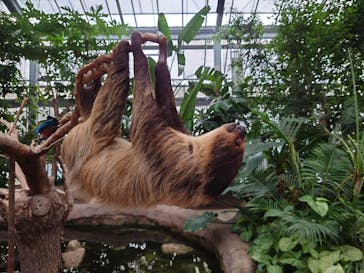 神戸どうぶつ王国に投稿された画像（2021/9/29）