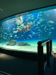 サンシャイン水族館に投稿された画像（2021/9/29）