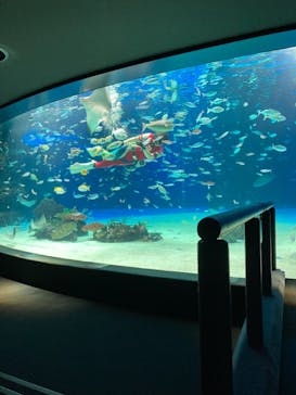 サンシャイン水族館に投稿された画像（2021/9/29）