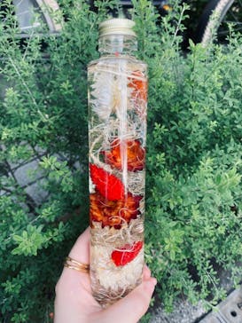 ずこうしつ〜sugamo〜に投稿された画像（2021/9/29）