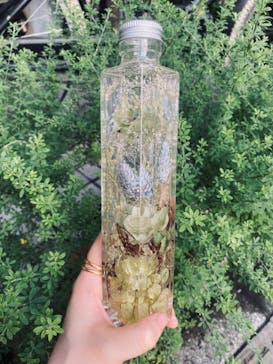 ずこうしつ〜sugamo〜に投稿された画像（2021/9/29）