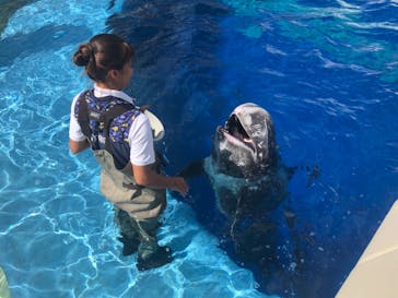 大分マリーンパレス水族館 「うみたまご」に投稿された画像（2021/9/29）