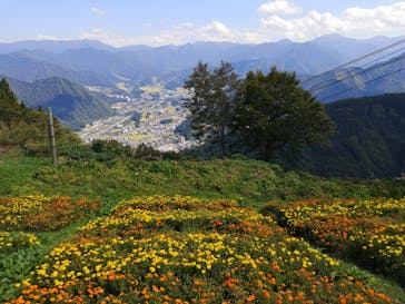 湯沢高原スキー場/パノラマパークに投稿された画像（2021/9/29）