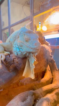 沖縄こどもの国に投稿された画像（2021/9/29）