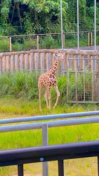 沖縄こどもの国に投稿された画像（2021/9/29）