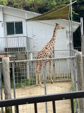 沖縄こどもの国に投稿された画像（2021/9/29）