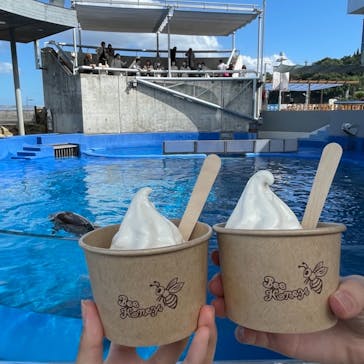 大分マリーンパレス水族館 「うみたまご」に投稿された画像（2021/9/29）