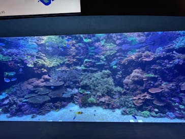 大分マリーンパレス水族館 「うみたまご」に投稿された画像（2021/9/29）