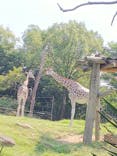 天王寺動物園に投稿された画像（2021/9/29）