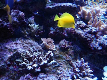 マクセル アクアパーク品川に投稿された画像（2021/9/29）