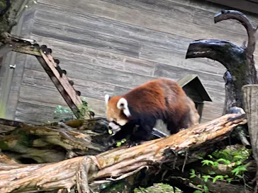 ひらかたパークに投稿された画像（2021/9/29）