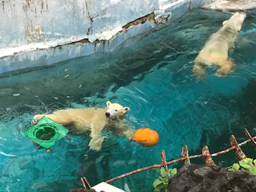 天王寺動物園に投稿された画像（2021/9/30）