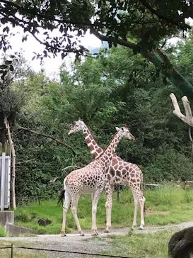 天王寺動物園に投稿された画像（2021/9/30）