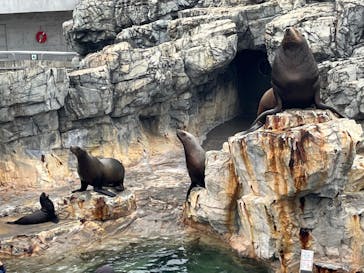 大分マリーンパレス水族館 「うみたまご」に投稿された画像（2021/9/30）