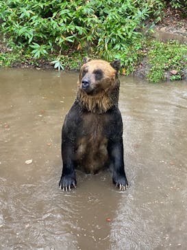 サホロリゾート　ベア･マウンテンに投稿された画像（2021/9/30）