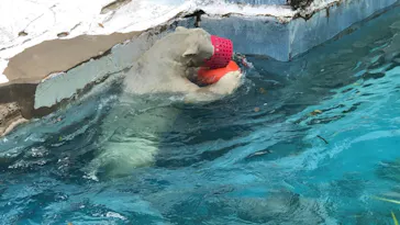 天王寺動物園に投稿された画像（2021/9/30）