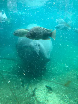 天王寺動物園に投稿された画像（2021/9/30）