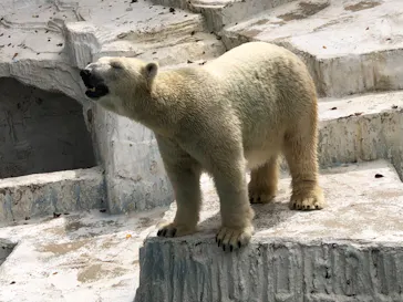 天王寺動物園に投稿された画像（2021/9/30）